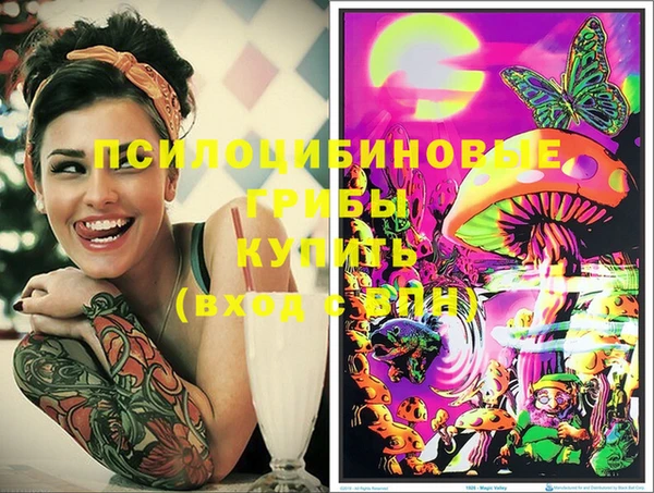 хмурый Протвино